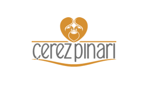 Çerez Pınarı
